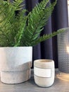 Fern leaf in a cement pot, cement candlestick and designer table lamp. Interior decoration in loft style. Long cotton curtain