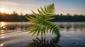 Serene Sunset: Fern Reflecting on Calm Lake Water Royalty Free Stock Photo