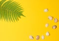 Fern leaf, seashell on yellow pastel background. The concept of travel, tourism, beach resort. Summertime. Top view, copy space.