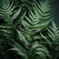 Hyperrealistic Fern Composition With Dark Gray And Green Tones