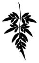 Fern leaf silhouette in black and white Royalty Free Stock Photo