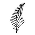 Fern leaf silhouette vector icon. Hand-drawn illustration isolated on white background. Bracken leaves on the stem. Royalty Free Stock Photo