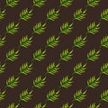 Abstract exotic plant seamless pattern. Botanical leaf wallpaper. Tropical pattern, palm leaves floral background Royalty Free Stock Photo