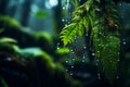 Fern leaf with water droplets hanging from it's leaves. Generative AI Royalty Free Stock Photo