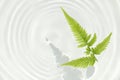 Fern leaf and water ripple background Royalty Free Stock Photo