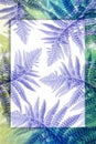 Fern leaves on artistic background with copy space