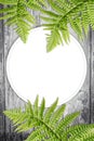 Fern leaves on artistic background with copy space