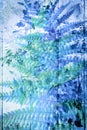 Fern leaves on blue artistic wooden background