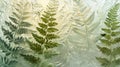 Fern leaves imprint on textured glass