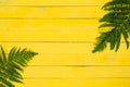 Fern leaves on yellow wooden background. Flat lay style composition, top view, copy space. Summer vacation concept Royalty Free Stock Photo