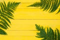 Fern leaves on yellow wooden background. Flat lay style composition, top view, copy space. Summer vacation concept Royalty Free Stock Photo