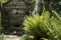 The fern Matteuccia struthiopteris standing before an old wall in in a garden in Greece Royalty Free Stock Photo