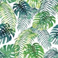 Fern Monstera seamless leaves white background