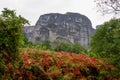 Fern with panoramic view of the unique rock formations near village Kastraki on a mystical cloudy day in Kalambaka, Meteora