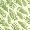 Fern Pattern Background Royalty Free Stock Photo