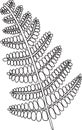 Fern plant in forest coloring page for adult. Vector graphic art Royalty Free Stock Photo