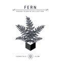 Fern in pot isometric icon in flat style, vector Royalty Free Stock Photo