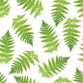 Fern seamless pattern.