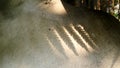 Fern shadow on statue in garden