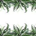 Fern sweeping leaves tropical frame template.