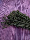 Fern vegetable on the table