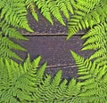 Fern on wooden background Royalty Free Stock Photo