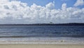 Fernandina Beach is occupied by wild birds, Florida, USA