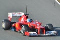 Fernando Alonso en Jerez