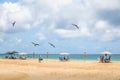 Magnificent Frigatebird flying over people at Praia da Conceicao Beach - Fernando de Noronha, Pernambuco, Brazil