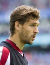 Fernando Llorente