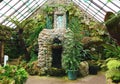 Fernery Botanic Gardens Southport. Royalty Free Stock Photo