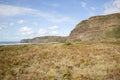 Ferns and Cliff Face at Xago Beach; Asturias