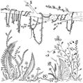 Ferns, flowers, vines and berries in a forest, dense vegetation. Printable coloring page for adults, anti-stress activity. EPS 10