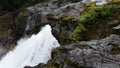 Ferns and black rocks with white water at Jasper Lake, Alberta