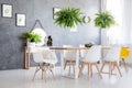 Ferns hanging over dining table Royalty Free Stock Photo
