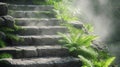 Ferns and moss on ancient stone stairs in morning mist. Royalty Free Stock Photo