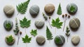 And ferns. The stones vary in shades of gray and beige. Among the Royalty Free Stock Photo