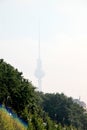 Fernsehturm Berlin TV Tower from GroÃÅ¸er Tiergarten