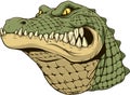 Ferocious alligator head Royalty Free Stock Photo