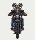 Ferocious goat head biker colorful concept Royalty Free Stock Photo