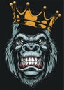 Ferocious gorilla head Royalty Free Stock Photo