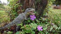 Ferocious cute Dinosaur standing by the tree and flowers