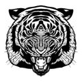 Ferocious tiger head - hand drawn - vector illustration - Out line