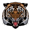 Ferocious tiger head - hand drawn - vector illustration Royalty Free Stock Photo