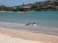 Ferradura beach in Buzios, Brazil