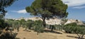 Ferrandina, a small town in Lucania perched on the hill and surrounded by olive trees. General view, landscape. Colors of southern Royalty Free Stock Photo