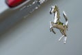 Ferrari Prancing Horse Logo, Cavallino Rampante. Royalty Free Stock Photo