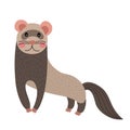 Ferret animal cartoon character vector illustration