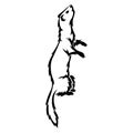 Ferret animal silhouette drawn with various black lines. Design suitable for tattoo, logo