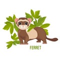 Ferret animal with wide open eyes in green leaves vector